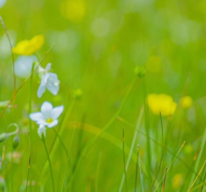 星视野眼健康管理中心